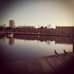 passeio barco em aveiro